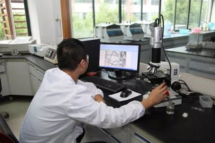 義烏開展襯衫生產企業質量分析測試專項活動，技術服務助力產業升級